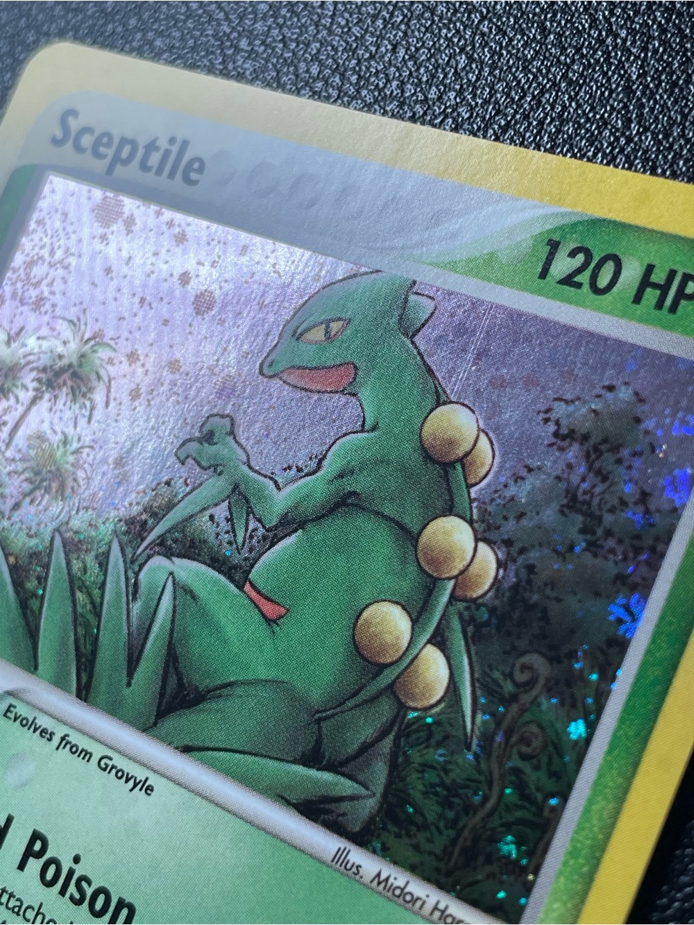 Sceptile #11/Holo/Pokemon Ruby & Sapphire - Picture 10 of 15